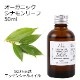 オーガニック シナモンリーフ  エッセンシャルオイル 50ml アロマオイル 精油 AEAJ認定 天然 有機 Organic 業務用