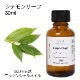 シナモンリーフ 30ml 【エッセンシャルオイル アロマオイル 精油 スパイス系】【AEAJ表示基準適合認定精油】