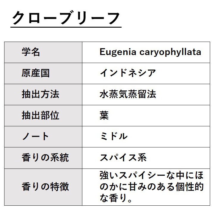 クローブリーフ 30ml 【エッセンシャルオイル アロマオイル 精油 スパイス系】【AEAJ表示基準適合認定精油】