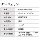 タンジェリン 30ml 【エッセンシャルオイル アロマオイル 精油 柑橘系】【AEAJ表示基準適合認定精油】