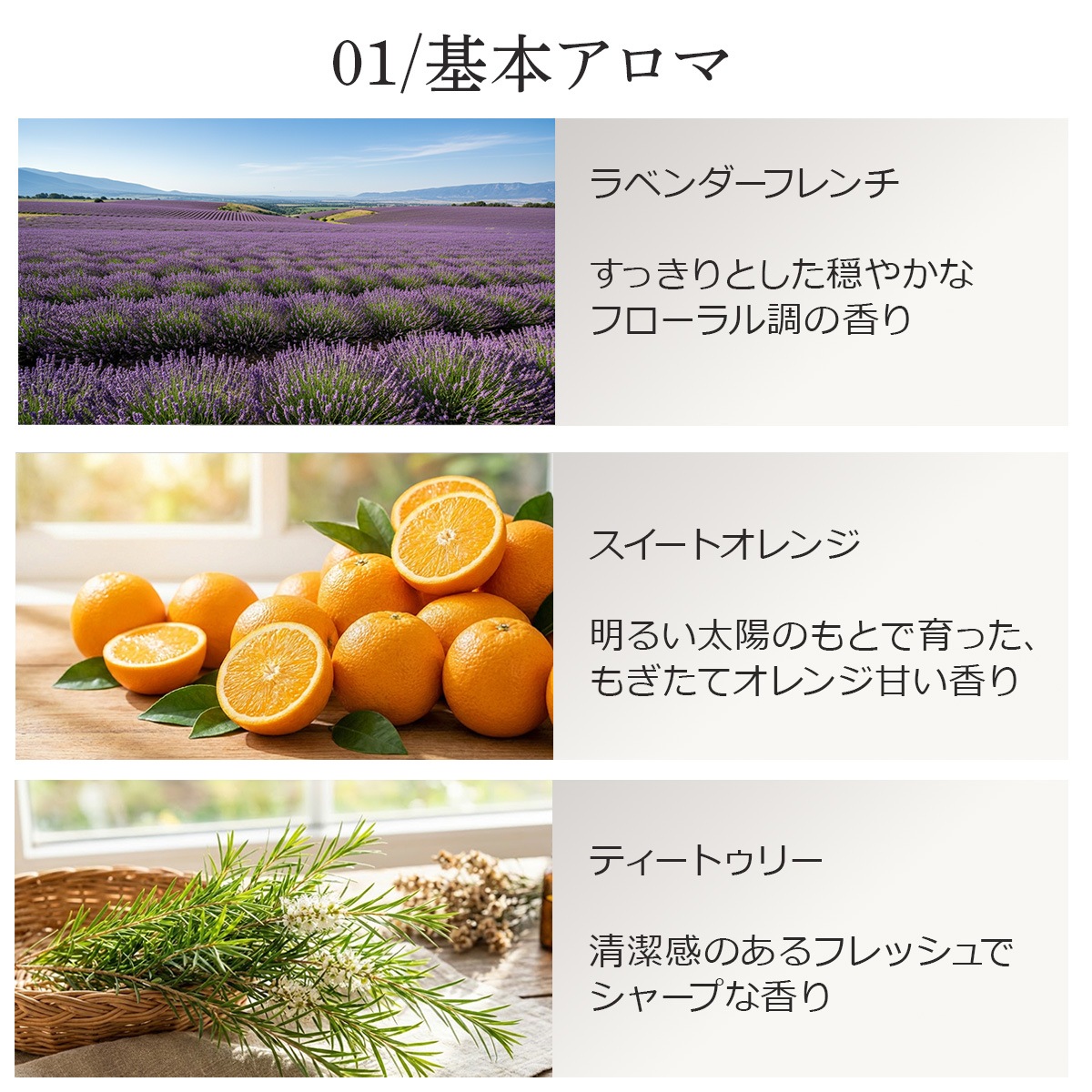 【基本アロマ3本セット】 アロマオイル 精油 5ml×3本 天然100% エッセンシャルオイル ラベンダー オレンジ ティートゥリー AEAJ表示基準適合 ASH AROMA【メール便送料無料】