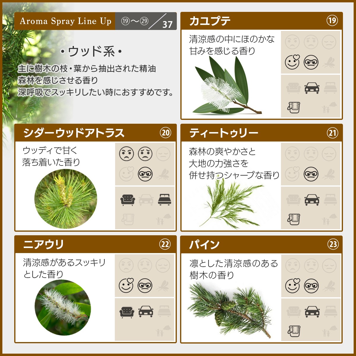 アロマスプレー 選べる セット 100mlx2本 ジェル状スプレー 電解還元性イオン水 アルコール未使用 エッセンシャルオイル 精油 アロマ 植物由来 天然由来成分 【送料無料(一部地域を除く)】