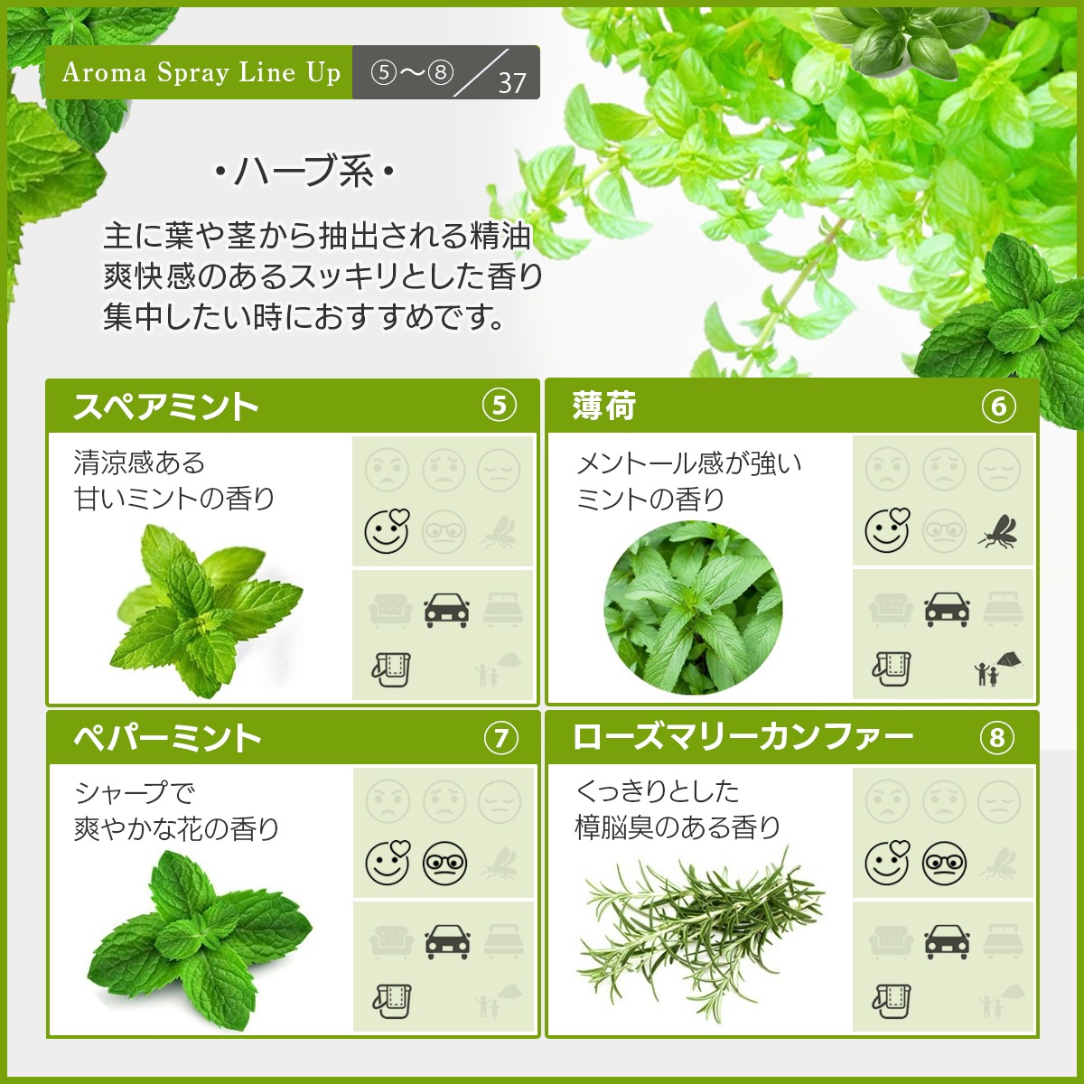 アロマスプレー 選べる セット 100mlx2本 ジェル状スプレー 電解還元性イオン水 アルコール未使用 エッセンシャルオイル 精油 アロマ 植物由来 天然由来成分 【送料無料(一部地域を除く)】