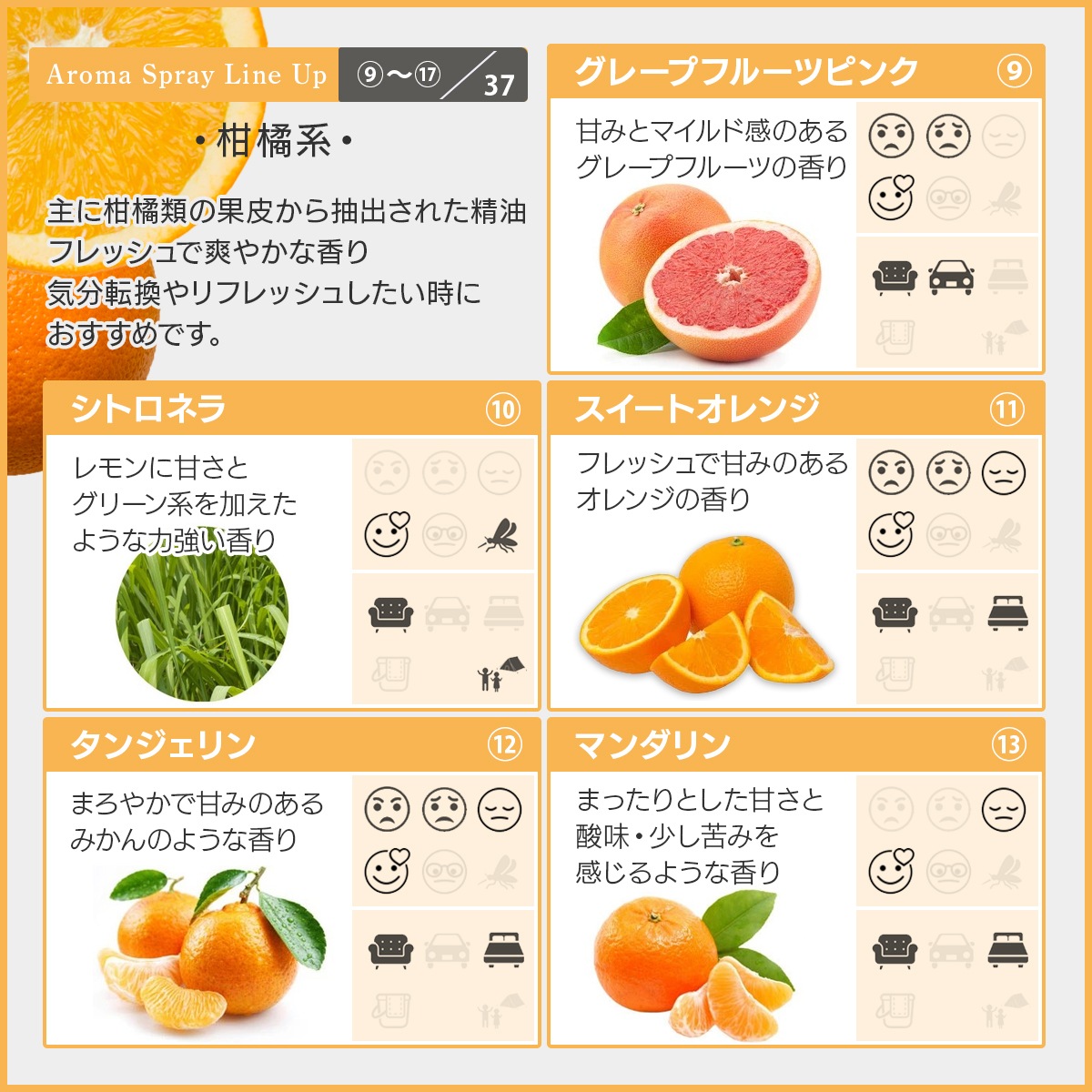 アロマスプレー 選べる セット 100mlx2本 ジェル状スプレー 電解還元性イオン水 アルコール未使用 エッセンシャルオイル 精油 アロマ 植物由来 天然由来成分 【送料無料(一部地域を除く)】
