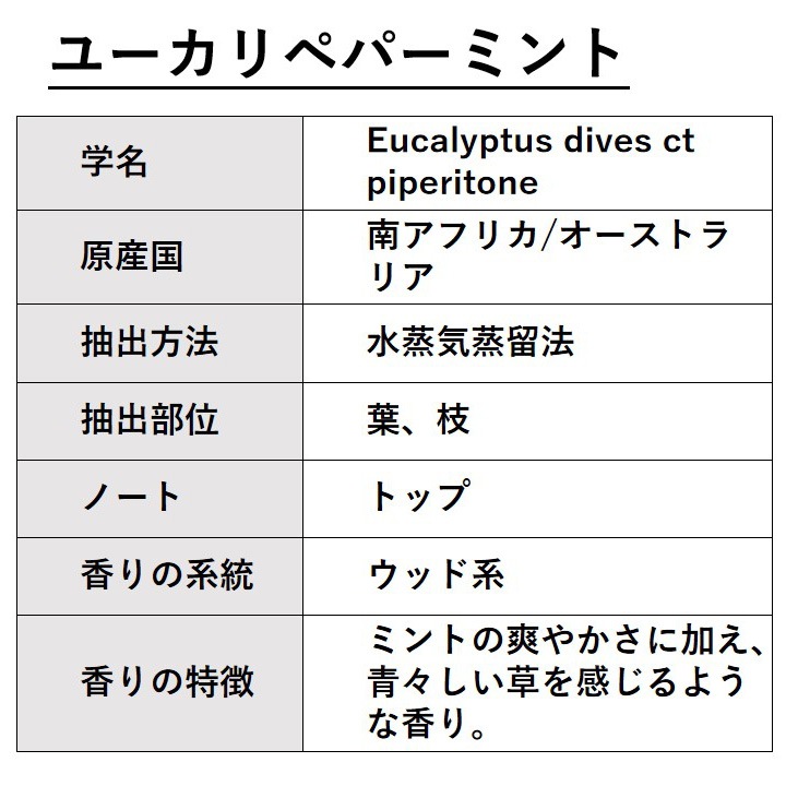 ユーカリペパーミント 30ml 【エッセンシャルオイル アロマオイル 精油 ユーカリディベス 樹木系】【AEAJ表示基準適合認定精油】