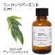 ユーカリペパーミント 30ml 【エッセンシャルオイル アロマオイル 精油 ユーカリディベス 樹木系】【AEAJ表示基準適合認定精油】