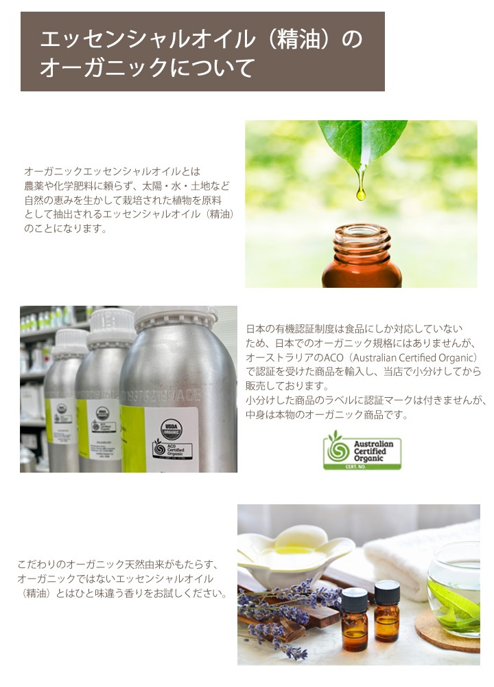 オーガニック スペアミント エッセンシャルオイル 100ml アロマオイル 精油 AEAJ認定 天然 有機 Organic 業務用