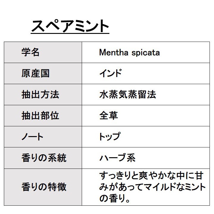 オーガニック スペアミント エッセンシャルオイル 100ml アロマオイル 精油 AEAJ認定 天然 有機 Organic 業務用