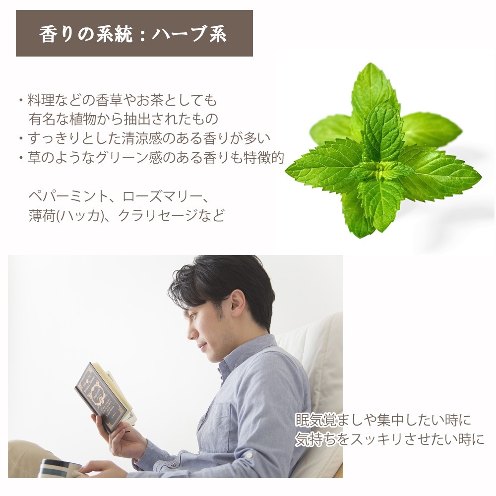 オーガニック スペアミント エッセンシャルオイル 100ml アロマオイル 精油 AEAJ認定 天然 有機 Organic 業務用