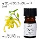 イランイラン 3rdグレード 5ml 【エッセンシャルオイル アロマオイル 精油 サードグレード エキゾチック系】【AEAJ表示基準適合認定精油】