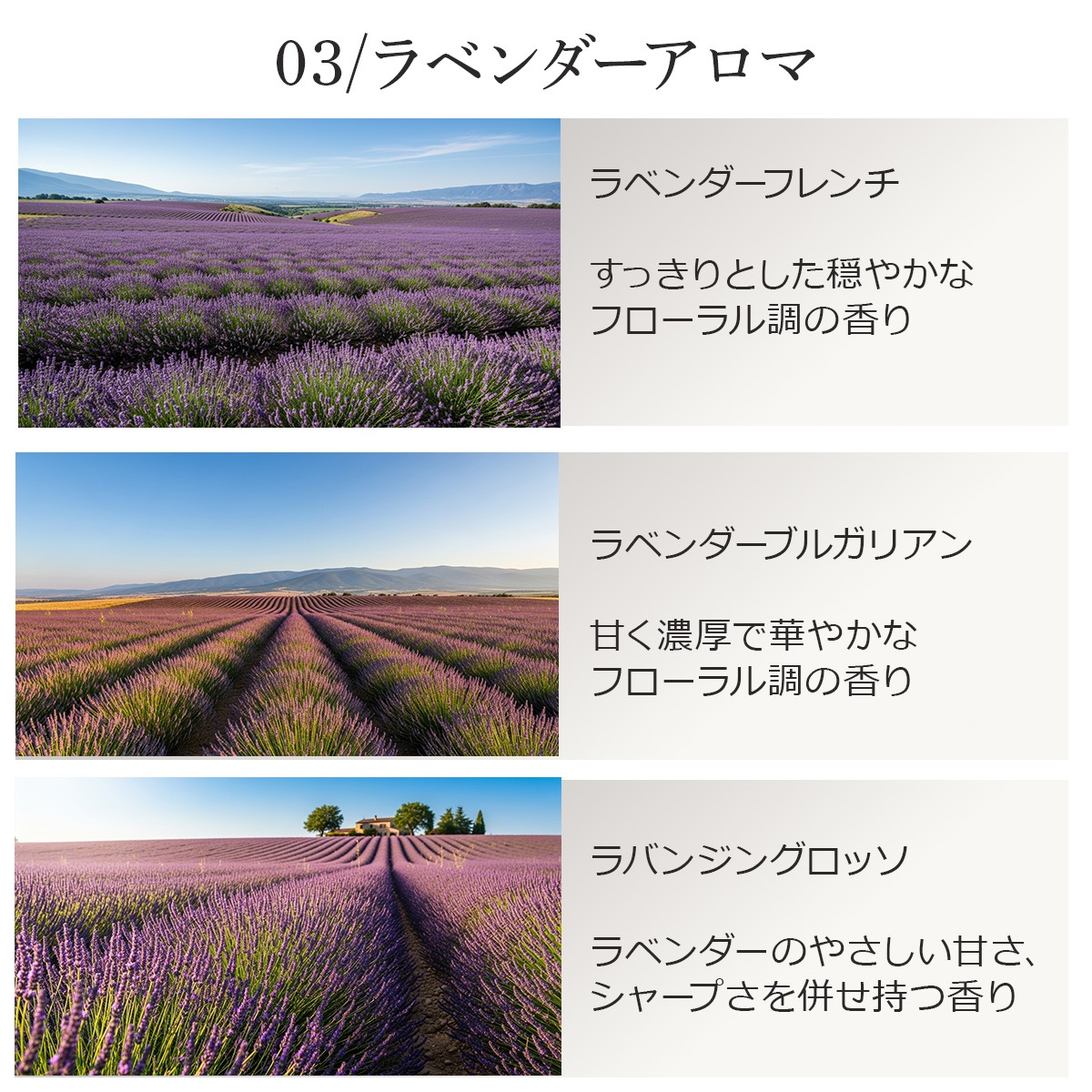 【ラベンダーアロマ3本セット】 アロマオイル 精油 5ml×3本 天然100% エッセンシャルオイル ラベンダー AEAJ表示基準適合 ASH AROMA【メール便送料無料】