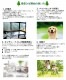 青森ひば 100ml 【エッセンシャルオイル アロマオイル 和精油 樹木系 ひば ヒバ油】【AEAJ表示基準適合認定精油】