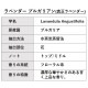 ラベンダーブルガリアン 精油 30ml エッセンシャルオイル アロマオイル ASH AROMA