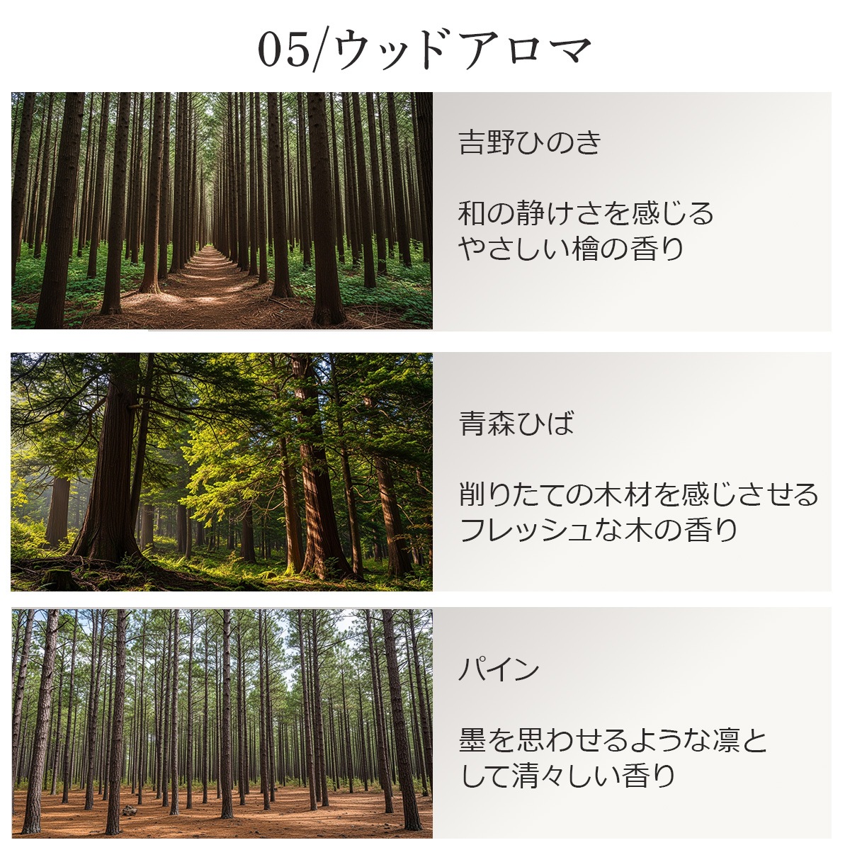 【ウッドアロマ3本セット】 アロマオイル 精油 5ml×3本 天然100% エッセンシャルオイル ひのき ヒバ パイン（松） AEAJ表示基準適合 ASH AROMA
