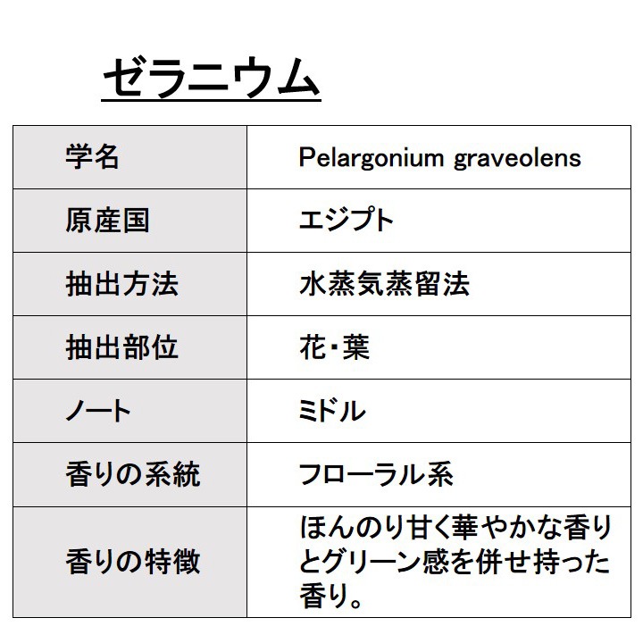 オーガニック ゼラニウム エッセンシャルオイル 100ml アロマオイル 精油 AEAJ認定 天然 有機 Organic 業務用