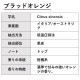 ブラッドオレンジ 精油 30ml エッセンシャルオイル アロマオイル ASH AROMA