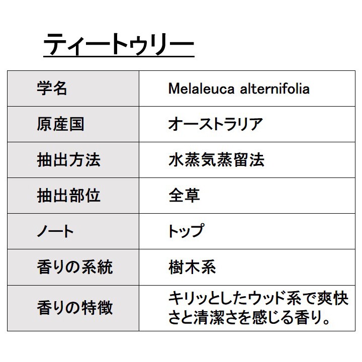 オーガニック ティートゥリー エッセンシャルオイル 10ml アロマオイル 精油 ティーツリー ティートリー AEAJ認定 天然 有機 Organic