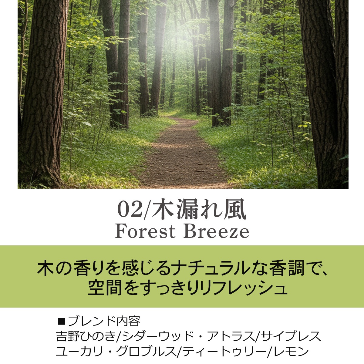 02 / 木漏れ風　Forest Breeze 20ml ルームフレグランススプレー 1本入 ASH AROMA