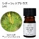 シダーウッド アトラス 5ml 【エッセンシャルオイル アロマオイル 精油 樹木系】【AEAJ表示基準適合認定精油】