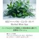 03 / ハーバル・ミント・スパ　Herbal Mint Spa 20ml ルームフレグランススプレー 1本入 ASH AROMA