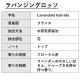 ラバンジン グロッソ 30ml 【エッセンシャルオイル アロマオイル 精油 フローラル系】【AEAJ表示基準適合認定精油】