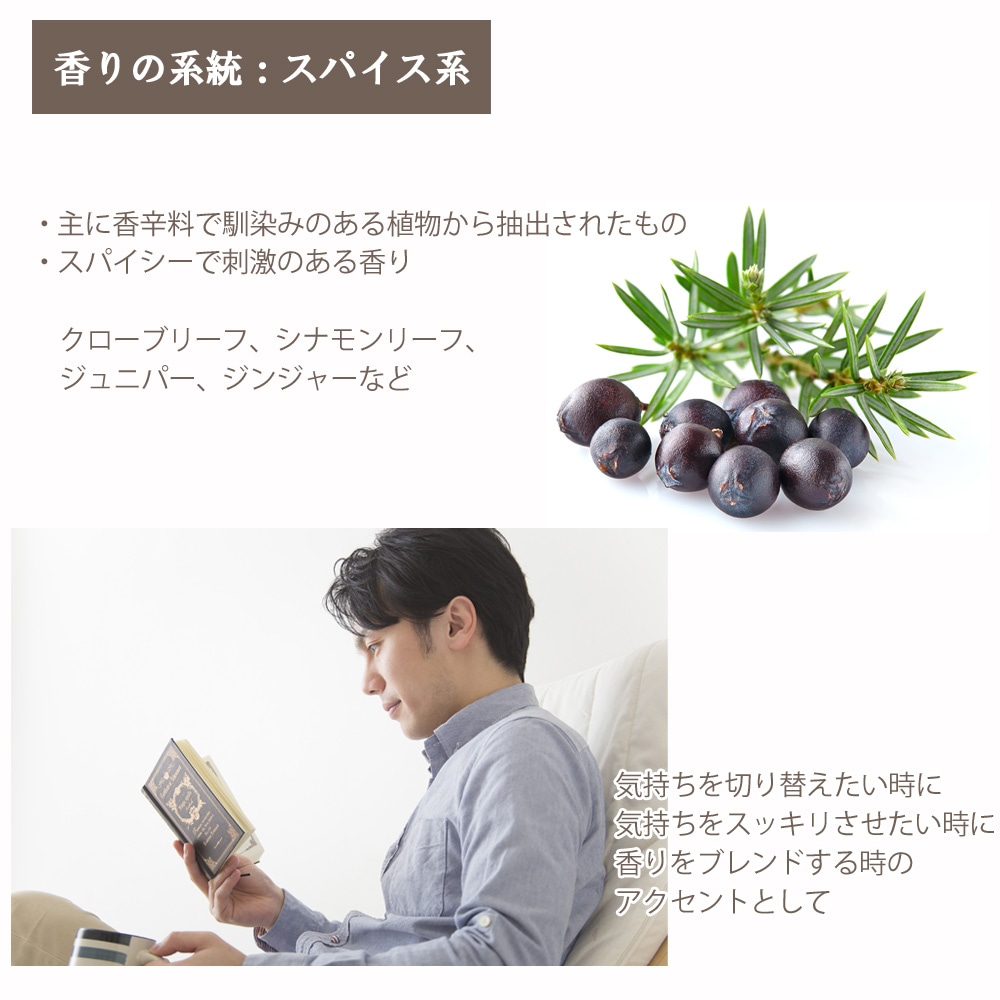 ジュニパーベリー 5ml 【エッセンシャルオイル アロマオイル 精油 スパイス系】【AEAJ表示基準適合認定精油】