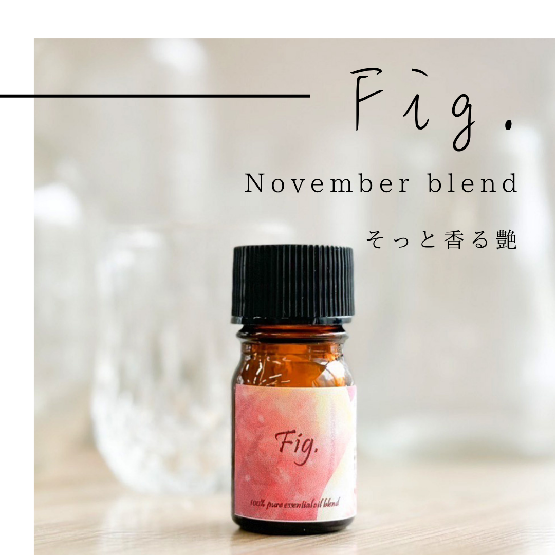 【11月特別企画】 Fig エッセンシャルオイル ブレンド精油 5ml 遮光瓶 ドロッパー付き 期間限定 ASH AROMA