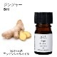 ジンジャー 5ml 【エッセンシャルオイル アロマオイル 精油 スパイス系】【AEAJ表示基準適合認定精油】