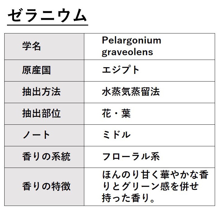 ゼラニウム 50ml 【エッセンシャルオイル アロマオイル 精油 フローラル系】【AEAJ表示基準適合認定精油】