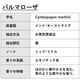 パルマローザ 精油 5ml エッセンシャルオイル アロマオイル ASH AROMA