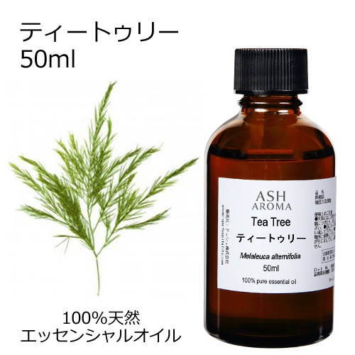 ティートゥリー 50ml 【エッセンシャルオイル アロマオイル 精油 ティートリー ティーツリー 樹木系】【AEAJ表示基準適合認定精油】