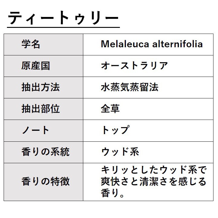 ティートゥリー 50ml 【エッセンシャルオイル アロマオイル 精油 ティートリー ティーツリー 樹木系】【AEAJ表示基準適合認定精油】