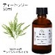 ティートゥリー 50ml 【エッセンシャルオイル アロマオイル 精油 ティートリー ティーツリー 樹木系】【AEAJ表示基準適合認定精油】
