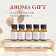 アロマ ホリデー ギフト セット アロマオイル ブレンド 10ml 人気の5種類 オイルスタンド 福袋 クリスマス プレゼント 贈り物 女性 男性 ASH AROMA 精油 数量 限定 送料無料