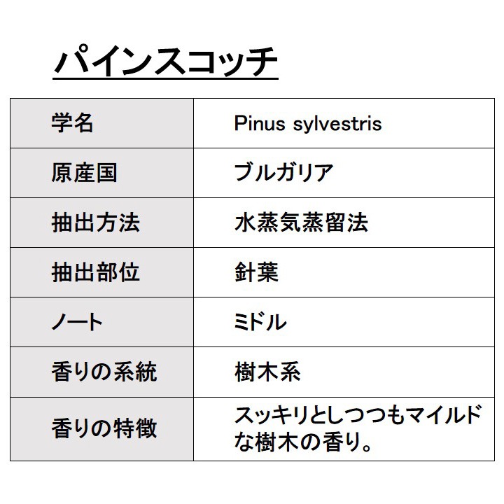 オーガニック パインスコッチ エッセンシャルオイル 10ml アロマオイル 精油 松 AEAJ認定 天然 有機 Organic