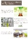 オーガニック パチュリー エッセンシャルオイル 5ml アロマオイル 精油 パチュリ パチョリ AEAJ認定 天然 有機 Organic