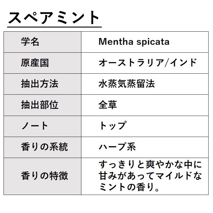 スペアミント 50ml 【エッセンシャルオイル アロマオイル 精油 ミント ハーブ系】【AEAJ表示基準適合認定精油】