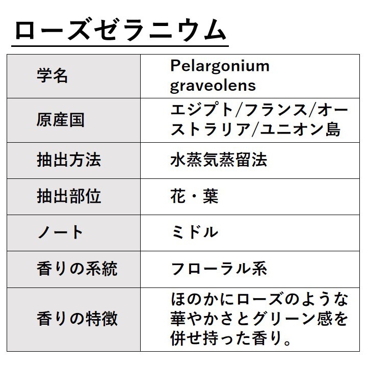 ローズゼラニウム 50ml 【エッセンシャルオイル アロマオイル 精油 フローラル系】【AEAJ表示基準適合認定精油】