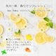 シトラスミント エッセンシャルオイルブレンド 10ml 箱入り アロマ エッセンシャルオイル アロマオイル 精油 オリジナルブレンド AEAJ認定アロマブレンドデザイナー監修 スイートオレンジ レモン グレープフルーツホワイト ペパーミント マンダリン