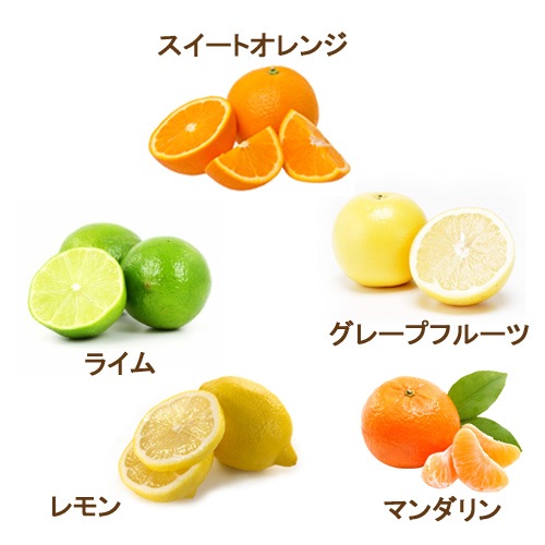 アロマオイル セット 柑橘系シトラス 10mlx5本 (C) 【送料無料】(エッセンシャルオイル 精油)  【グレープフルーツホワイト スイートオレンジ マンダリン ライム レモン】【AEAJ表示基準適合認定精油】