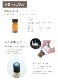 アロマオイル セット 柑橘系シトラス 10mlx5本 (C) 【送料無料】(エッセンシャルオイル 精油)  【グレープフルーツホワイト スイートオレンジ マンダリン ライム レモン】【AEAJ表示基準適合認定精油】
