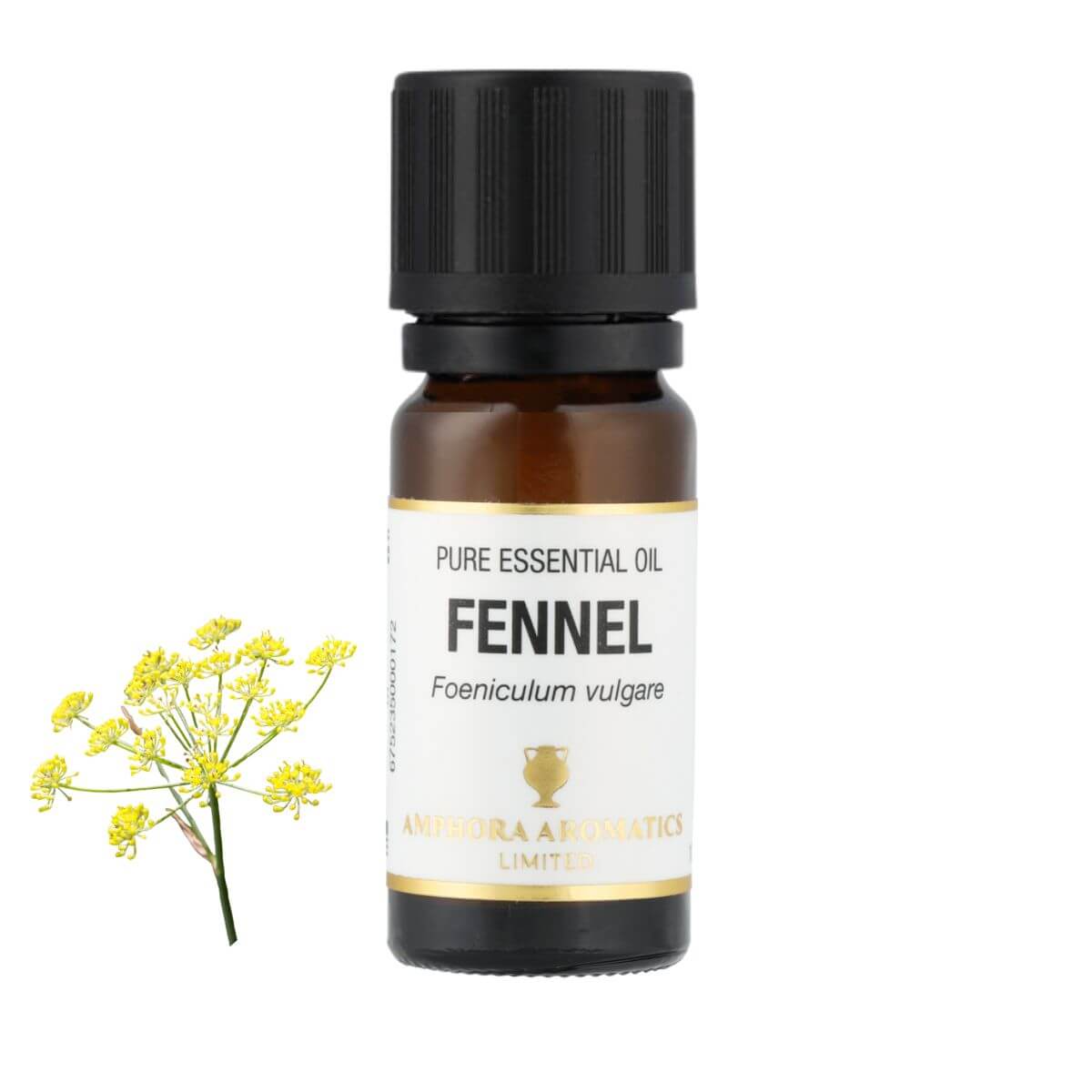 フェンネル アロマオイル（精油）10ml