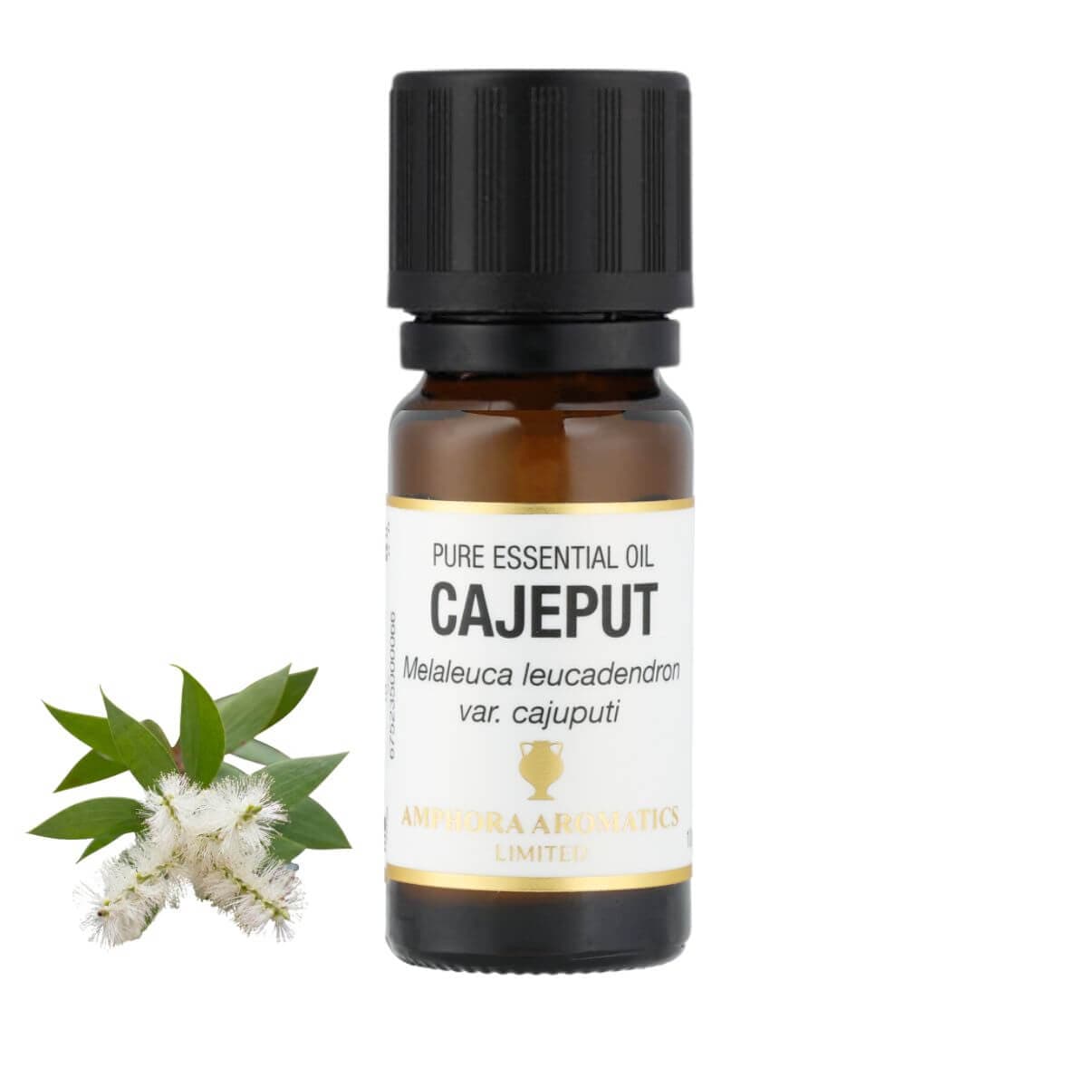カユプテ アロマオイル（精油）10ml