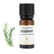 フランキンセンス(乳香）アロマオイル（精油）10ml