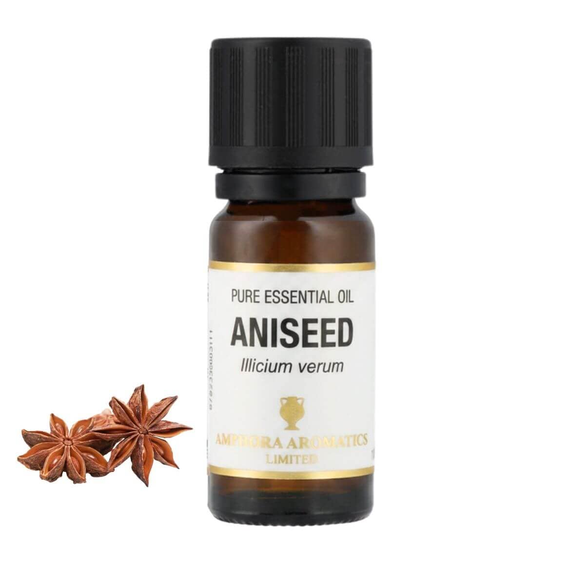 アニス アロマオイル（精油）10ml