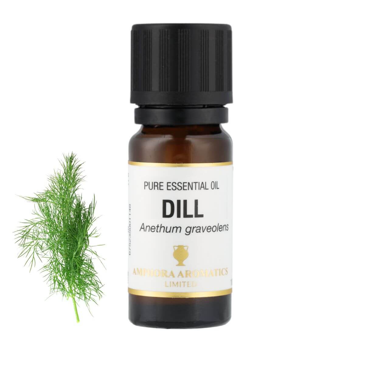 ディル アロマオイル（精油）10ml