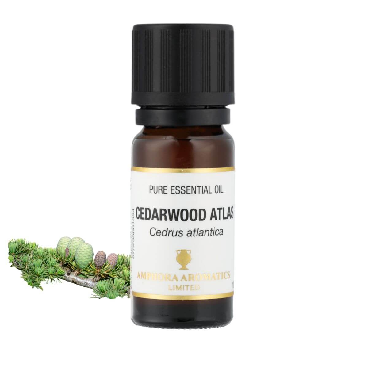 シダーウッド アトラス アロマオイル（精油）10ml