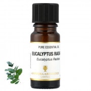 ユーカリ・ラディアータ アロマオイル（精油）10ml