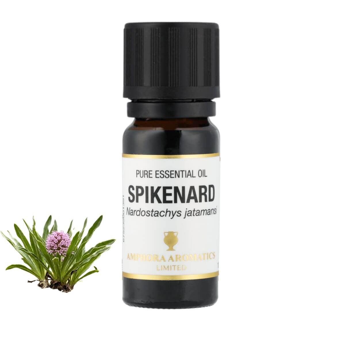 スパイクナード アロマオイル（精油）10ml