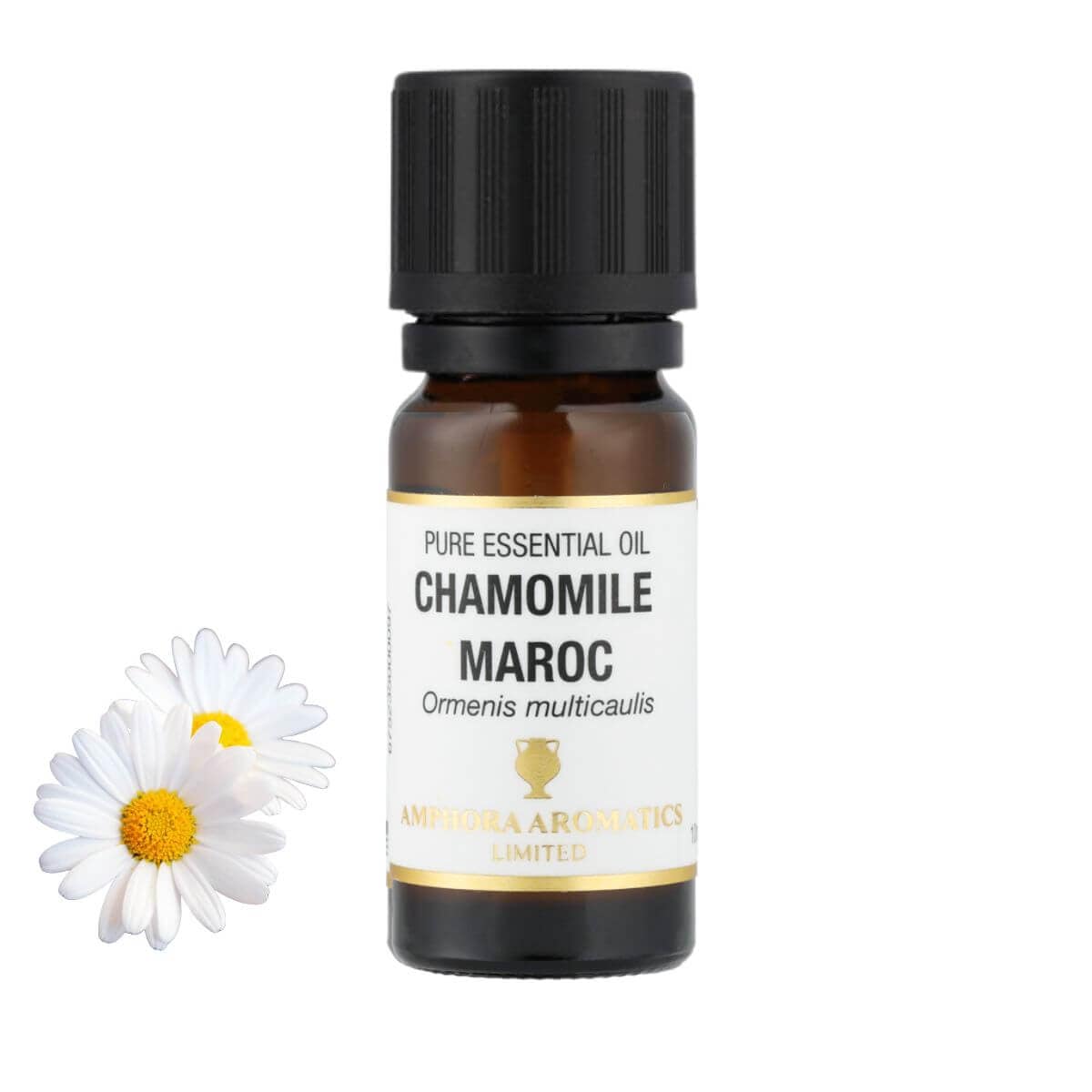 カモミール・モロッコ アロマオイル（精油）10ml